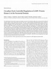 Research paper thumbnail of Circadian Clock-Controlled Regulation of cGMP-Protein Kinase G in the Nocturnal Domain