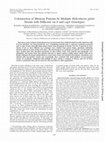 Research paper thumbnail of Colonization of Mexican Patients by MultipleHelicobacter pylori Strains with Different vacAand cagA Genotypes