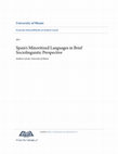 Research paper thumbnail of Spain’s Minoritized Languages in Brief Sociolinguistic Perspective