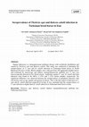 Research paper thumbnail of Seroprevalence of Theileria equi and Babesia caballi infection in Turkoman breed horses in Iran