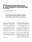 Research paper thumbnail of Identification and characterization of microsatellite DNA markers developed in an endangered cyprinid of the Mekong River, the seven-line barb (Probarbus jullieni Sauvage, 1880)