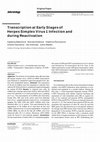 Research paper thumbnail of Transcription at Early Stages of Herpes Simplex Virus 1 Infection and during Reactivation