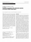 Research paper thumbnail of Functional Organisation of the Corticomotor Projection to the Hand in Skilled Racquet Players