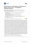 Research paper thumbnail of Future Response of the Wadden Sea Tidal Basins to Relative Sea-Level rise—An Aggregated Modelling Approach