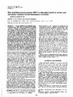 Research paper thumbnail of The multifunctional protein OBF1 is phosphorylated at serine and threonine residues in Saccharomyces cerevisiae