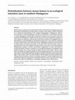 Research paper thumbnail of Hybridization between mouse lemurs in an ecological transition zone in southern Madagascar