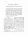 Research paper thumbnail of Demography of a Shade-Tolerant Tree (Fagus grandifolia) in a Hurricane-Disturbed Forest