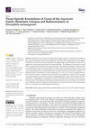 Research paper thumbnail of Tissue-Specific Knockdown of Genes of the Argonaute Family Modulates Lifespan and Radioresistance in Drosophila Melanogaster