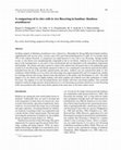 Research paper thumbnail of A comparison of in vitro with in vivo flowering in bamboo: Bambusa arundinacea