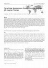 Research paper thumbnail of Fundação da Faculdade de Filosofia, Ciências e Letras da Universidade de São Paulo: a Contribuição dos Professores Italianos