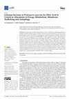 Research paper thumbnail of Lifespan Increase of Podospora anserina by Oleic Acid Is Linked to Alterations in Energy Metabolism, Membrane Trafficking and Autophagy