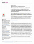 Research paper thumbnail of Molecular eco-epidemiology of Paracoccidioides brasiliensis in road-killed mammals reveals Cerdocyon thous and Cuniculus paca as new hosts harboring this fungal pathogen