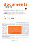 Research paper thumbnail of What’s in a tweet? Twitter’s impact on public opinion and EU foreign affairs