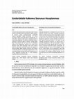 Research paper thumbnail of Sürdürülebilir Kalkınma Skorunun Hesaplanması