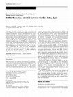 Research paper thumbnail of Sulfide fluxes in a microbial mat from the Ebro Delta, Spain