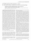 Research paper thumbnail of p38 MAPK-dependent eNOS upregulation is critical for 17 -estradiol-mediated cardioprotection following trauma-hemorrhage