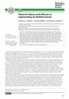 Research paper thumbnail of Glycerol induces early fibrosis in regenerating rat skeletal muscle