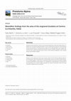 Research paper thumbnail of Mesolithic findings from the area of the engraved boulders at Cemmo (Lombardia, Italia)