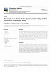 Research paper thumbnail of New insight on the Romito shelter ( Calabria , southern Italy ) : the lithic production of the Mesolithic levels