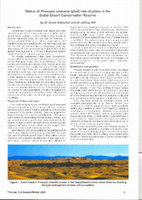 Research paper thumbnail of Status of Prosopis cineraria (ghaf) tree clusters in the Dubai Desert Conservation Reserve.