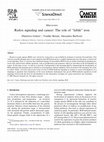 Research paper thumbnail of Redox signaling and cancer: The role of “labile” iron