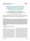 Research paper thumbnail of Synthesis and characterization of iron oxide nanoparticles supported on carbon matrix: oxidation of the dye methylene blue in water