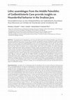 Research paper thumbnail of Lithic assemblages from the Middle Paleolithic of Geißenklösterle Cave provide insights on Neanderthal behavior in the Swabian Jura