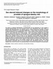 Research paper thumbnail of Sex Steroid Induced Changes on the Morphology of Prostate of Sprague Dawley Rats