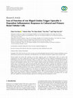 Research paper thumbnail of Iluminismo no mundo luso-brasileiro: um olhar sobre a Viagem Filosófica à Amazónia, 1783-1792