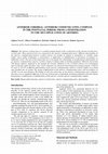 Research paper thumbnail of Anterior Cerebral–Anterior Communicating Complex in the Postnatal Period: From a Fenestration to the Multiplication of Arteries