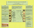 Research paper thumbnail of Effects of grazing on seed germination in the inland desert of Dubai (UAE)