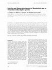 Research paper thumbnail of Reactie op consultatie Wet Basisregistratie ondergrond