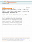 Research paper thumbnail of CrkII/Abl phosphorylation cascade is critical for NLRC4 inflammasome activity and is blocked by Pseudomonas aeruginosa ExoT