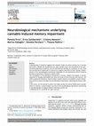 Research paper thumbnail of Neurobiological mechanisms underlying cannabis-induced memory impairment