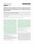 Research paper thumbnail of Elimination of Grapevine leafroll associated virus-3, Grapevine rupestris stem pitting associated virus and Grapevine virus A from a Tunisian Cultivar by Somatic Embryogenesis and Characterization of the Somaclones Using Ampelographic Descriptors