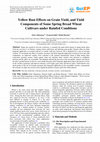 Research paper thumbnail of Yellow Rust Effects on Grain Yield, and Yield Components of Some Spring Bread Wheat Cultivars under Rainfed Conditions