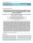 Research paper thumbnail of Enhancing early blooming and flower quality of tulip (Tulipa gesneriana Linn.) through application of plant growth regulators