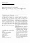 Research paper thumbnail of Central pattern generators for a common semiology in fronto-limbic seizures and in parasomnias. A neuroethologic approach