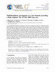 Research paper thumbnail of Multidisciplinary investigation on a lava fountain preceding a flank eruption: The 10 May 2008 Etna case