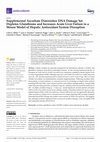 Research paper thumbnail of Supplemental Ascorbate Diminishes DNA Damage Yet Depletes Glutathione and Increases Acute Liver Failure in a Mouse Model of Hepatic Antioxidant System Disruption