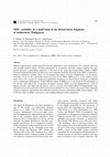 Research paper thumbnail of MHC Variability of a Small Lemur in the Littoral Forest Fragments of Southeastern Madagascar