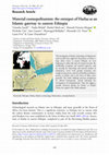 Research paper thumbnail of Material cosmopolitanism: the entrepot of Harlaa as an Islamic gateway to eastern Ethiopia