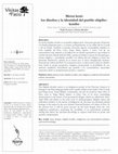 Research paper thumbnail of Metsá Kené : los diseños y la identidad del pueblo Shipibo-Konibo