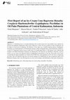 Research paper thumbnail of First Report of an Ice Cream Cone Bagworm Manatha Conglacia Haettenschwiler (Lepidoptera: Psychidae) in Oil Palm Plantations of Central Kalimantan, Indonesia