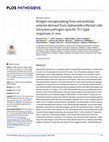 Research paper thumbnail of Antigen-encapsulating host extracellular vesicles derived from Salmonella-infected cells stimulate pathogen-specific Th1-type responses in vivo