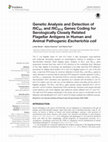 Research paper thumbnail of Genetic Analysis and Detection of fliCH1 and fliCH12 Genes Coding for Serologically Closely Related Flagellar Antigens in Human and Animal Pathogenic Escherichia coli