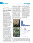 Research paper thumbnail of Active space garnering by leaves of a rosette plant