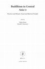 Research paper thumbnail of (2022) "Seeking the Pure Land in Tangut Art" in Yukiyo Kasai and Henrik H. Sorensen, eds., Buddhism in Central Asia II: Practices and Rituals, Visual and Material Transfer (Leiden and Boston: Brill, 2022), 207-243