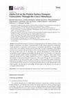Research paper thumbnail of Alpha-Gal on the Protein Surface Hampers Transcytosis through the Caco-2 Monolayer