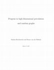 Research paper thumbnail of Progress in High-Dimensional Percolation and Random Graphs